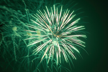 Fireworks display celebration Fourth of July holiday.