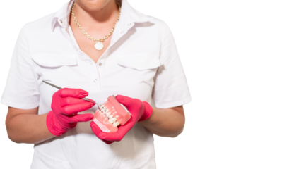 Close-up dentist hands in medical gloves hold plaster human jaw layout using plugger, describe therapy to patient. Oral hygiene orthodontic treatment copy space