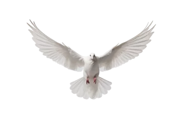 Fotobehang A white dove in flight, completely alone on a transparent background. © AkuAku