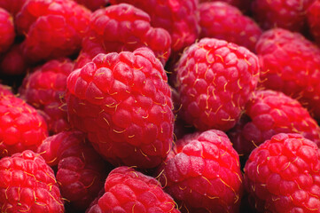 Ripe raspberries macro. Fruit background with copy space. Summer and berries harvest concept. Vegan, vegetarian, raw food