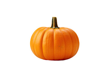 A single miniature pumpkin with a fresh orange color is seen alone against a transparent background.