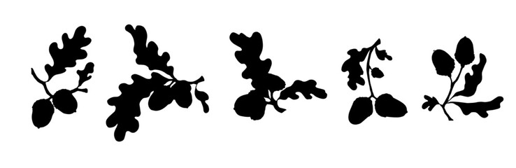 Set of silhouettes of oak branches with acorns. Decorative vector graphics.
