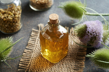Obraz na płótnie Canvas Herbal tincture with wild teasel flowers - herbal medicine