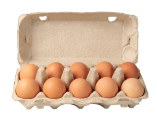 Egg Box with Chicken Eggs, Carton Pack or Egg Container