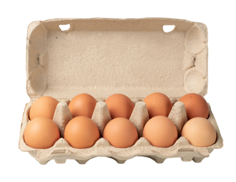Egg Box with Chicken Eggs, Carton Pack or Egg Container