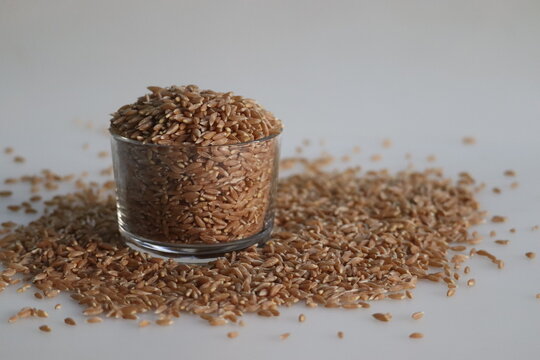 Khapli wheat. Also known as Emmer Wheat or Jave Godhi is one of the oldest wheat varieties of India.