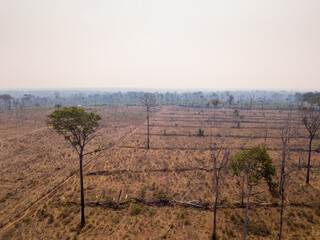 Aerial view of illegal deforestation in Amazon rainforest. Forest trees destroyed to open land for cattle and agriculture. Mato Grosso, Brazil. Concept of environment, ecology, climate change, global 