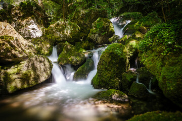 Fototapeta premium Fresh Hubelj spring in Vipavska valley
