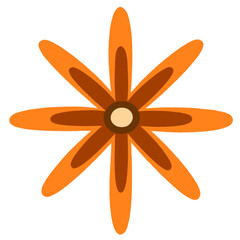 Cute Colorful Flowers