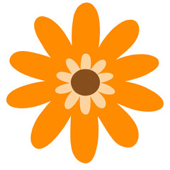 Cute Colorful Flowers