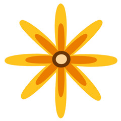 Cute Colorful Flowers