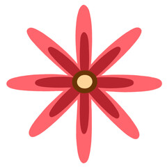 Cute Colorful Flowers