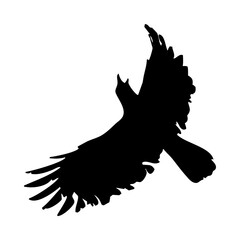 birds silhouettes collection. flyer bird. bird