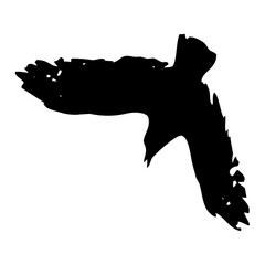 birds silhouettes collection. flyer bird. bird