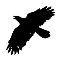 birds silhouettes collection. flyer bird. bird