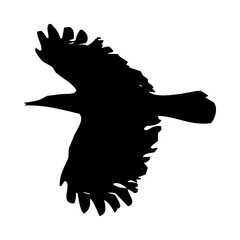 birds silhouettes collection. flyer bird. bird