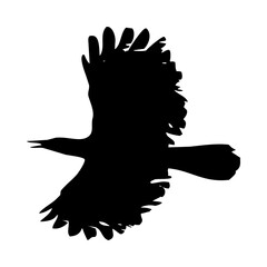 birds silhouettes collection. flyer bird. bird
