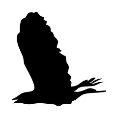 birds silhouettes collection. flyer bird