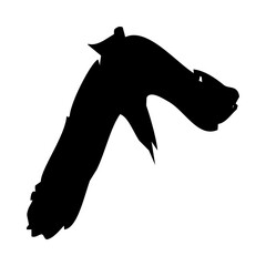 birds silhouettes collection. flyer bird