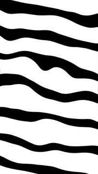 zebra skin background