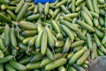 Abundance of cucumbers on the market counter.