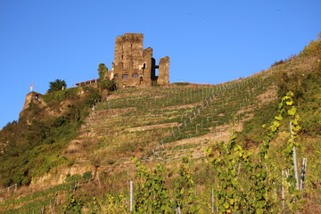 BEILSTEIN