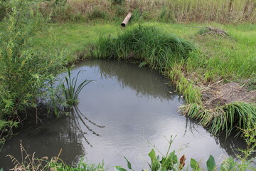 A small pond with grass and a pipe