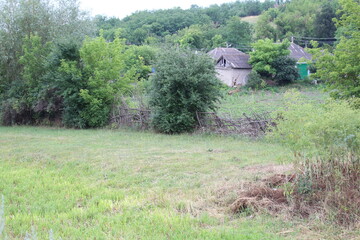 A field with trees and houses in the background © parpalac