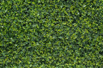 textura de muro con follaje decorativo artificial