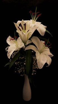 Blossom Lilies in a Vase