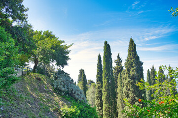 Mediterranean flora, cypress trees and flair in Taormina, Sicily, Italy