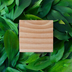 Green leaves with a cube made of wood. Natural concept.
