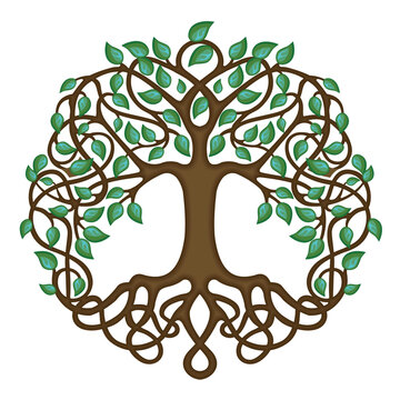 Tree of Life circle illustration