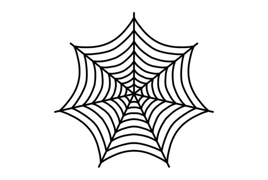 Scary spider web black gothic insect graphic design element Halloween decor art