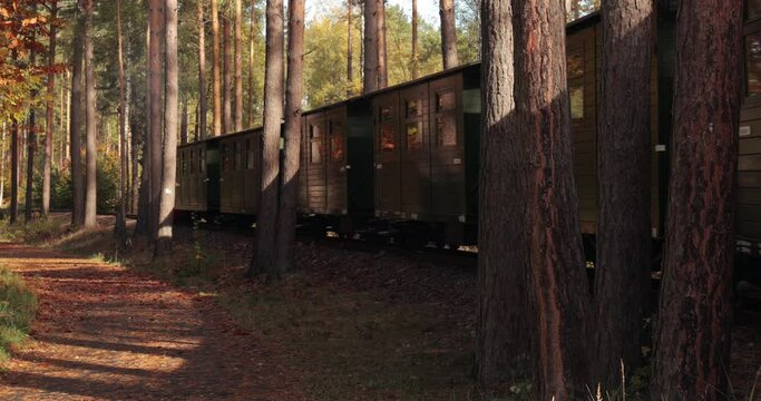 Small forest steam train in germany