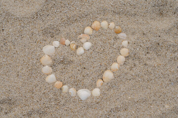 Fototapeta na wymiar heart made of shells