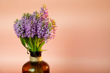Purple flowers in a glass vase on a pink or peach background