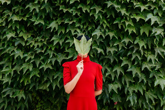 Unknown woman covering face with big leaf