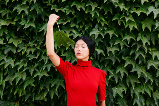 Calm woman holding big green leaf in yard