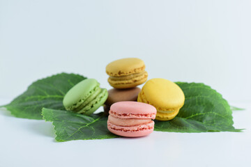 Colorful macaroons, on large green leaves and white background, typical french sweet.