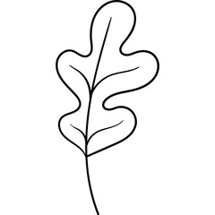 oak leaf autumn color