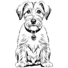 Sealyham Terrier dog realistic pet illustration, hand drawing face black and white vector