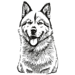 Akita dog hand drawn logo drawing black and white line art pets illustration realistic breed pet