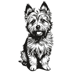 Cairn Terrier dog silhouette pet character, clip art vector pets drawing black and white realistic breed pet