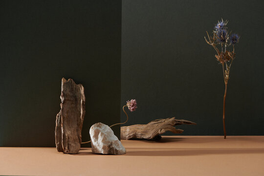 Natural background with dry flower and dried twigs