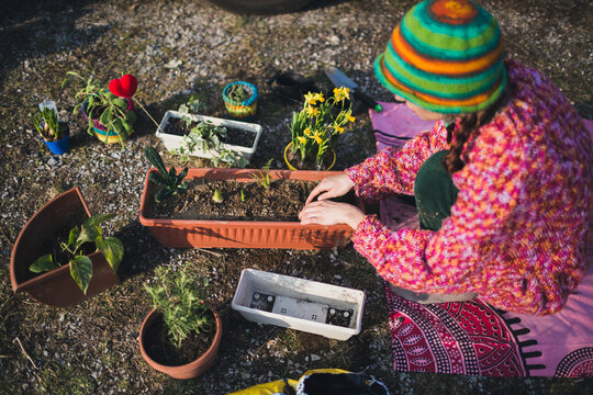 Young woman plant flowers in the pot