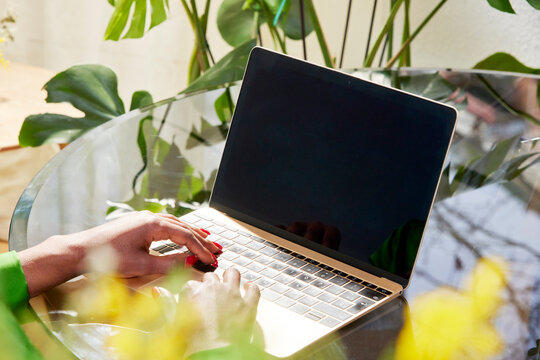 Cropped image of lady browsing laptop during work