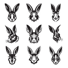 Obraz premium Hare logo set - Premium design collection - Vector Illustration
