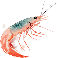 Shrimp cocktail drawing on a white background. seafood for a party or dinner at a restaurant serving food from the sea. Hand drawn seafood illustration. Prawn.