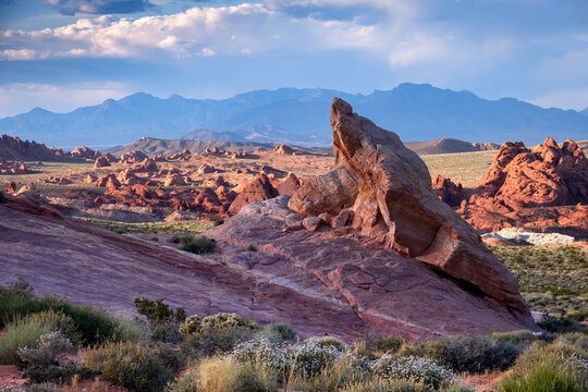 Rock formations and desert landscape at sunset, Valley of Fire State Park, Nevada - Powered by Adobe